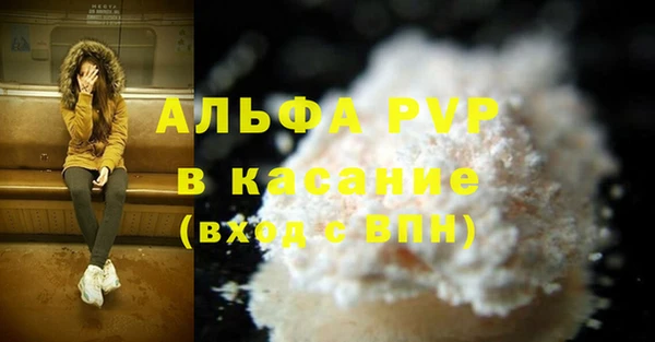 стафф Алзамай