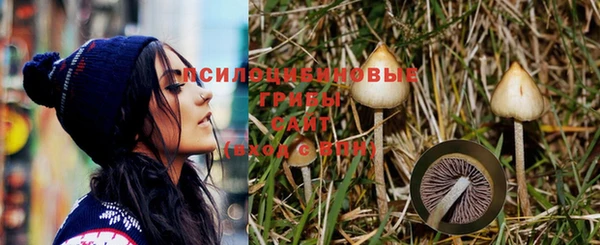 apvp Алексеевка
