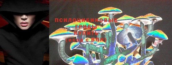 apvp Алексеевка