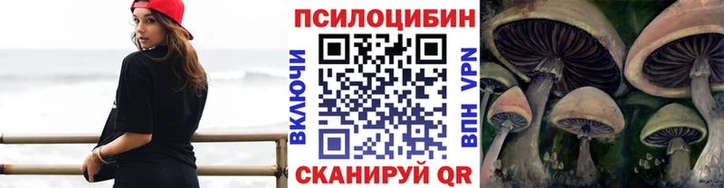 Купить закладки  Санкт-Петербург  Псилоцибиновые грибы Cubensis 